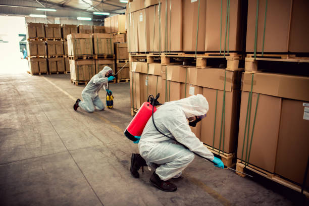 Best Affordable Exterminators  in Justice, OK