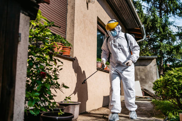 Best Flea Control Services  in Justice, OK