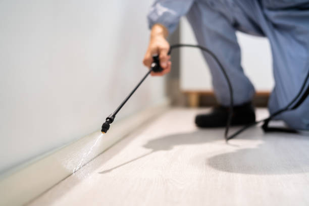 Best Termite Control Services  in Justice, OK