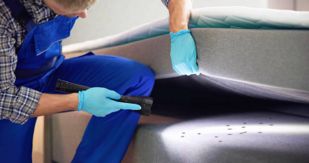 Best Cockroach Control Services  in Justice, OK