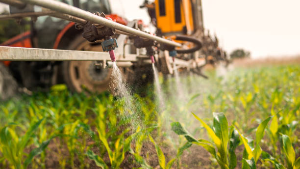 Best Commercial Pest Control Services  in Justice, OK