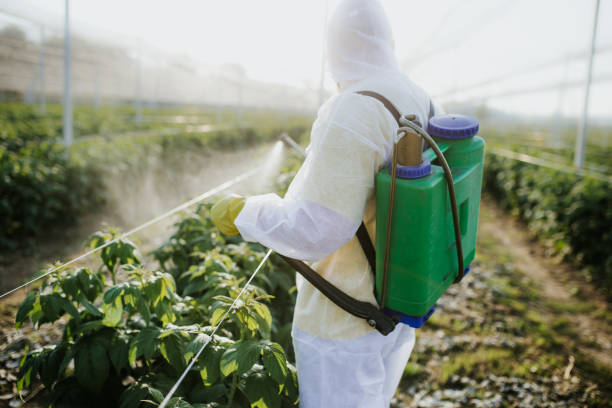 Best Commercial Pest Control Services  in Justice, OK